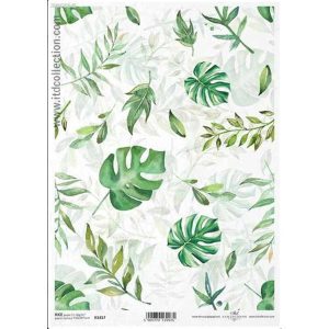 ΡΙΖΟΧΑΡΤΟ "GREEN LEAVES" 21X29ΕΚ 3ΤΜΧ